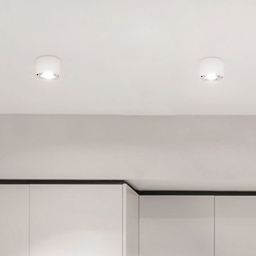 Kaja Horn lampa podsufitowa 1x10 W biała K-5133