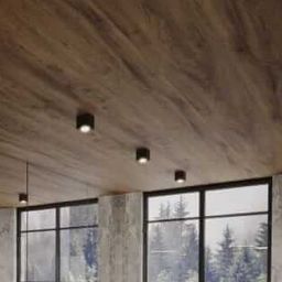 Light Prestige Lyon lampa podsufitowa 1x50W czarna LP-5881/1SMBK