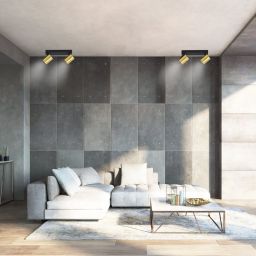 Light Prestige Snow lampa podsufitowa 2x50 W czarna-złota LP-731/2WGD