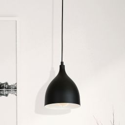 Luminex Noak lampa wisząca 1x60W czarny/biały 6221