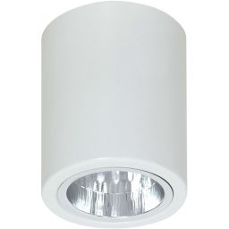 Luminex Downlight lampa podsufitowa x60 W biała 7234