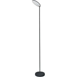Mantra Nassau lampa stojąca 1x30 W czarna 8511