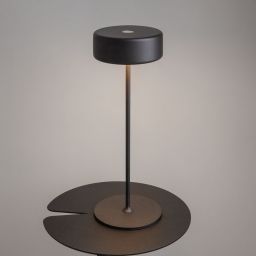 Maytoni Al Collaboration lampa stołowa 1x3 W czarna MOD229TL-L3B3K2