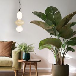 Milagro Ascoli lampa wisząca 1x18 W biała ML1420