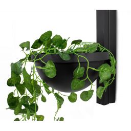 Moosee Plant kinkiet 1x16W LED czarny/szkło białe MSE010400222