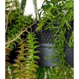 Moosee Gardens lampa wisząca 1x115 W zielona MSE1501100436