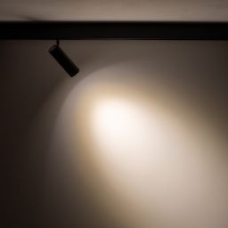 Nowodvorski Lighting LVM Spot LED lampa do szynoprzewodów 1x15 W czarny 10147