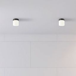 Nowodvorski Lighting Cayo lampa podsufitowa 1x40W czarna/biała 8055