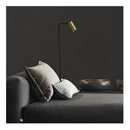 Nowodvorski Lighting Mono II lampa stojąca 2x10W LED mosiądz/czarna 7712