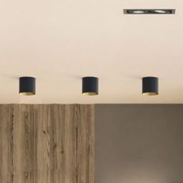 Nowodvorski Lighting Point Tone lampa podsufitowa 1x10W czarny/złoty 8224