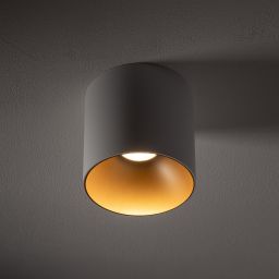 Nowodvorski Lighting Point Tone lampa podsufitowa 1x10 W biała-złota 8221