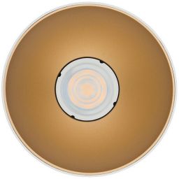 Nowodvorski Lighting Point Tone lampa podsufitowa 1x10 W biała-złota 8221