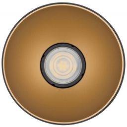 Nowodvorski Lighting Point Tone lampa podsufitowa 1x10W czarny/złoty 8224