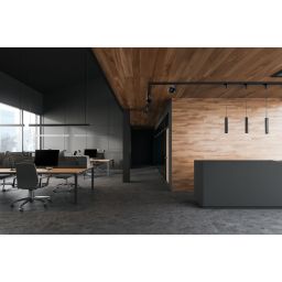 Nowodvorski Lighting Cameleon adapter czarny 8281