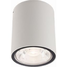 Nowodvorski Lighting Edesa lampa podsufitowa 1x6W LED biała 9108