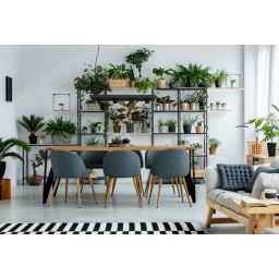 Nowodvorski Lighting Plant lampa wisząca 4x10 W czarna-nikiel 9381