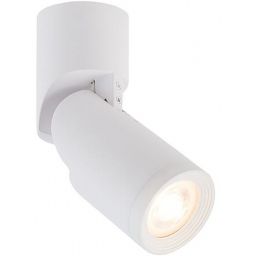 Nowodvorski Lighting Profile Mike lampa podsufitowa 1x15W biały 7660