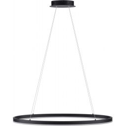 Paul Neuhaus Titus lampa wisząca 1x38W antracytowy 2392-13