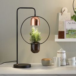 Paulmann Neordic Fanja lampa stołowa 1x20W czarny/miedziany 79746