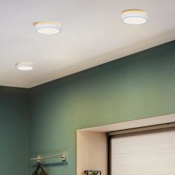 Paulmann Aviar plafon 1x13W LED biały 78924