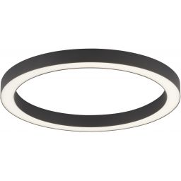 Paul Neuhaus Pure-Lines plafon 1x30W antracyt 6309-13