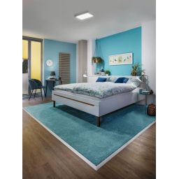 Paulmann Atria plafon 1x20 W biały 70939