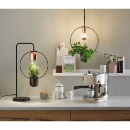 Paulmann Neordic Tasja lampa wisząca 1x20W czarny/miedziany 79748