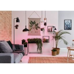 Paulmann Neordic Fanja lampa wisząca 1x20W czarny/miedziany 79749