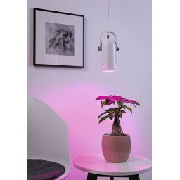 Paulmann Neordic Lavea lampa wisząca 1x15W biała 79767