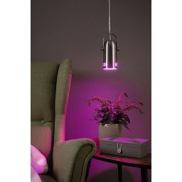 Paulmann Neordic Lavea lampa wisząca 1x15W żelazo szczotkowane 79768