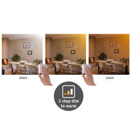 Paulmann Carpo plafon 1x16 W chrom 79798