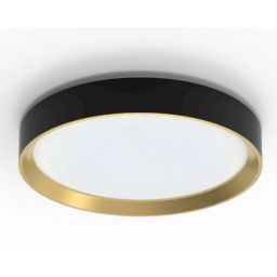 Philips Hanno plafon 1x24 W biały-złoty 929004116101