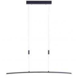 Paul Neuhaus Janina lampa wisząca 1x27W LED antracyt 2530-13