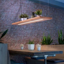 Paul Neuhaus Palma lampa wisząca 1x23W LED drewno 2625-79