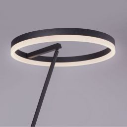 Paul Neuhaus Titus lampa stojąca 1x19,5W LED antracyt 381-13