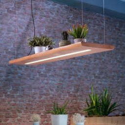 Paul Neuhaus Palma lampa wisząca 1x23W LED drewno 2625-79
