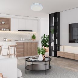 Rabalux Bruce plafon 1x40W LED biały 2117