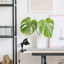 Rabalux Flint lampa stołowa 1x25W czarna 3092