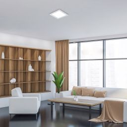 Rabalux Shaun plafon 1x24W LED biały 3170