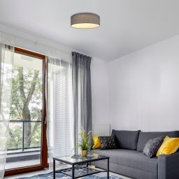 Rabalux Otilia plafon 1x22 W szary 3307