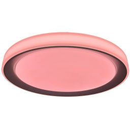 Rabalux Everest plafon 1x40W LED biały/srebrny 3510