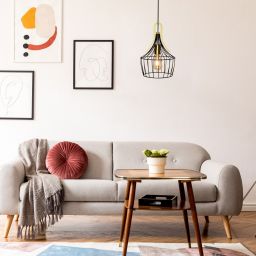 Rabalux Parov lampa wisząca 1x40W złota/czarny mat 4925