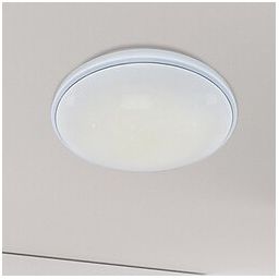 Rabalux Bruce plafon 1x40W LED biały 2117