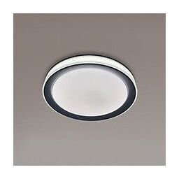 Rabalux Everest plafon 1x40W LED biały/srebrny 3510