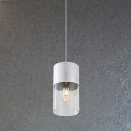 Rabalux Zelkova lampa wisząca 1x40W aluminium szczotkowane/przezroczysty 3154