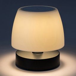 Rabalux Odera lampa stojąca zewnętrzna 1x3W czarna/biała 7040