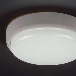 Rabalux Hort plafon zewnętrzny 1x15W biały 7406