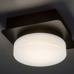Rabalux Attichus lampa podsufitowa 1x5W LED czarny mat/biały 75001