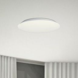 Rabalux Rorik plafon 1x45W LED biały 71125