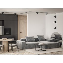 Rabalux LiTrack Spot lampa do szynoprzewodów 1x6 W czarny 70103